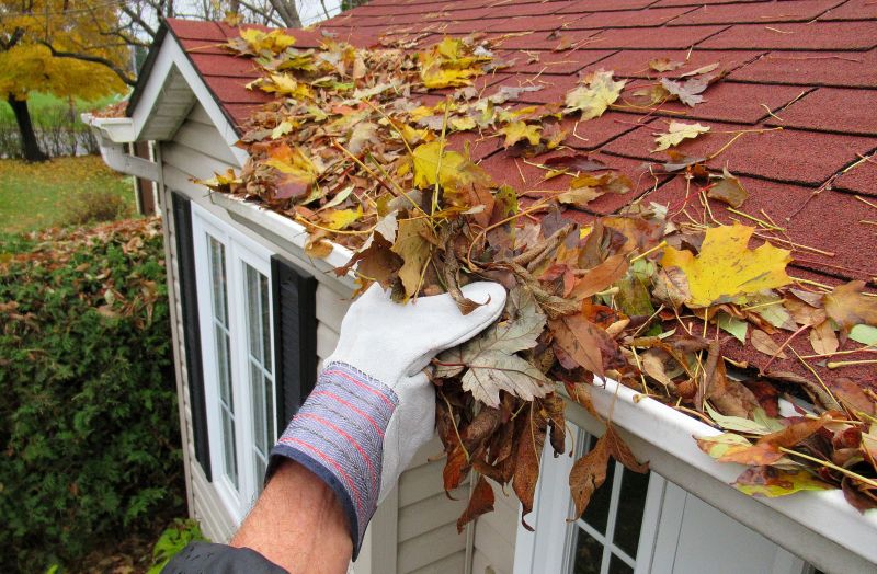 Seasonal Gutter Checks