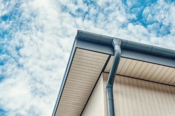 Gutter Fascia Repair